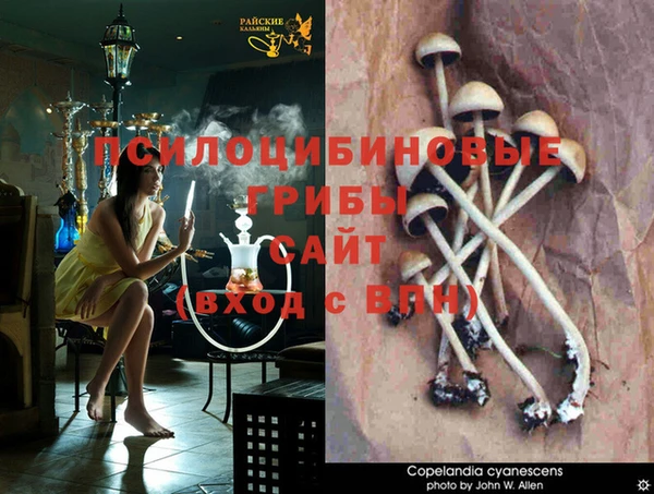 не бодяженный Каменка